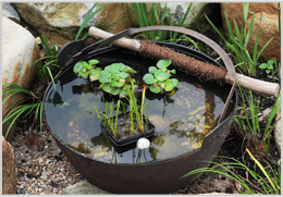 松の植栽と手水鉢（ちょうずばち）