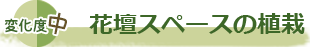 花壇スペースの植栽