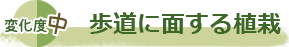 歩道に面する植栽