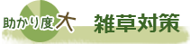 雑草対策
