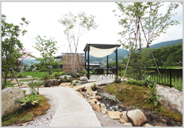 ナチュラルガーデン