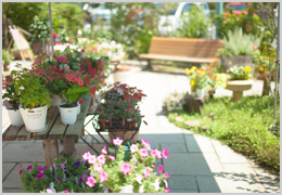 彩り豊かなガーデンで毎日が潤う